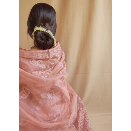 Semi organza silk with embroidery work designer saree