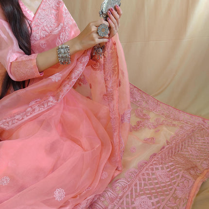 Semi organza silk with embroidery work designer saree