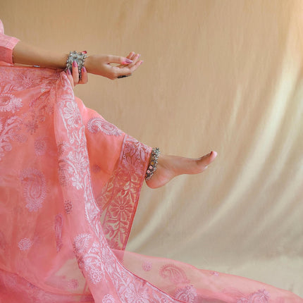 Semi organza silk with embroidery work designer saree