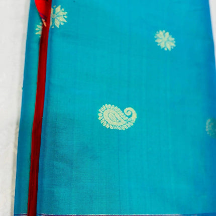 Authentic Paithani from Yeola | 100% handwoven Pure Silk saree |Rama with Red border|Kadiyal Maharan