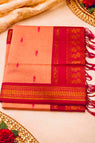 LightBtownMaroon1251