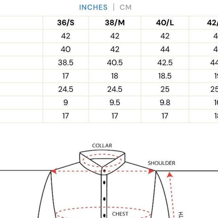 Mint Soft Silk Kurta Set, Embroidered Mens Indo-Western Ensemble (Size 40)