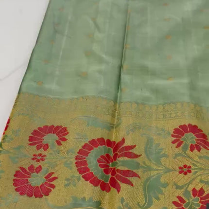 Handloom Gadwal Silk Saree | Cardamom/Light Mint  with Meenakari work Border, Silk Mark Certified